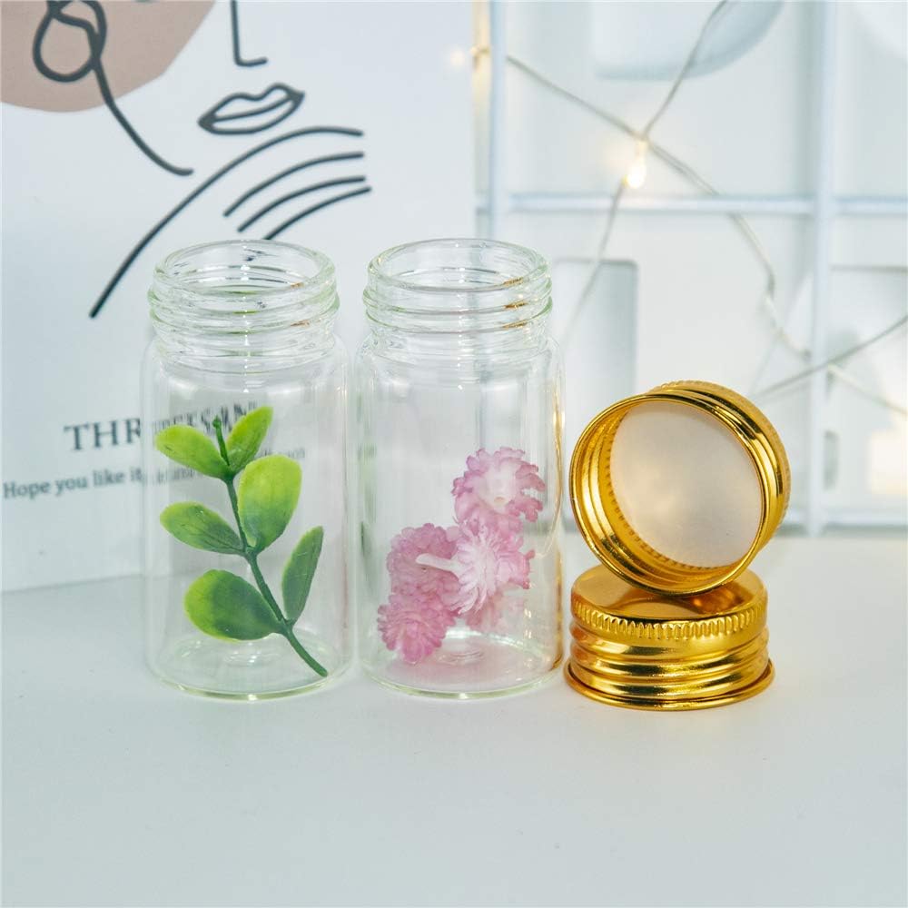 Art Craft Youtube - 50PCS 5ML-100ML Mini Glass Test Tube