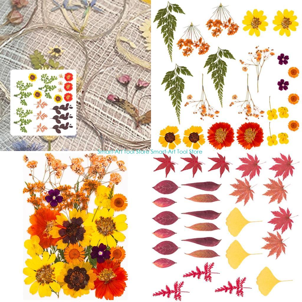 Art Craft Flower Making - E1PB Natural Dry Flower Leaves Set