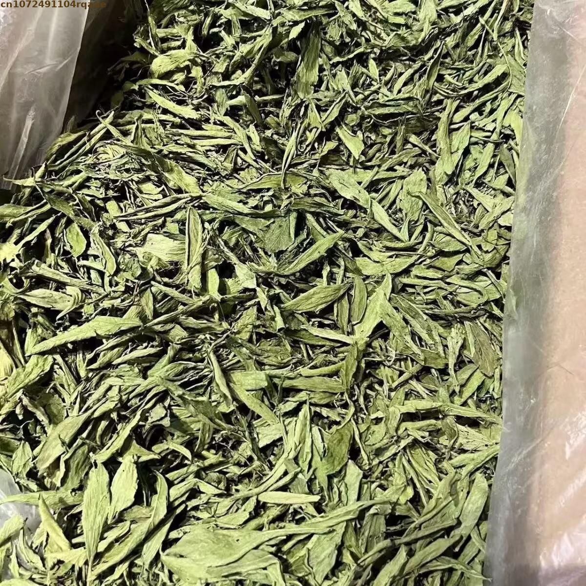 Dried Pure Stevia Rebaudiana P - Art Craft Flower Making บทวิจารณ์และราคา