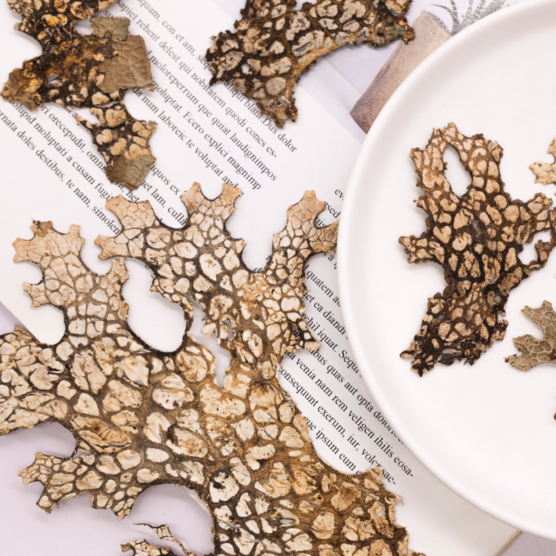 4pcs,Rare Bark Natural Pressed - Art Craft Flower Making บทวิจารณ์และราคา