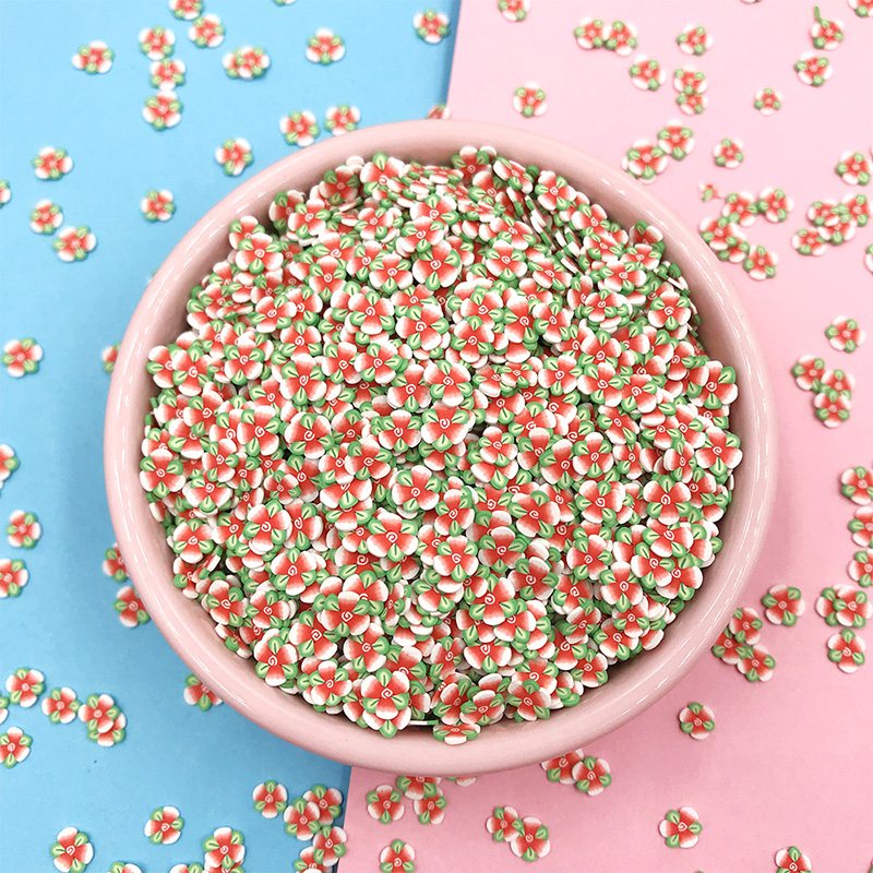 100g/lot Hot Clay Flower Slice - Art Craft Flower Making บทวิจารณ์และราคา