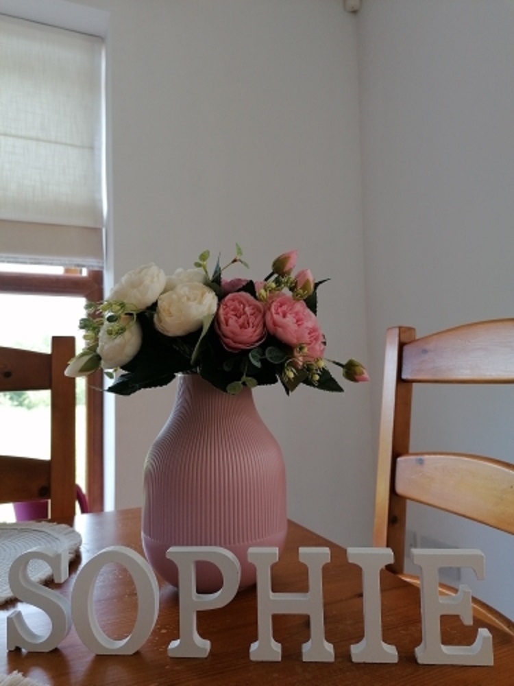 1pc 8CM White Wooden Letter En - Letter S Art Craft บทวิจารณ์และราคา
