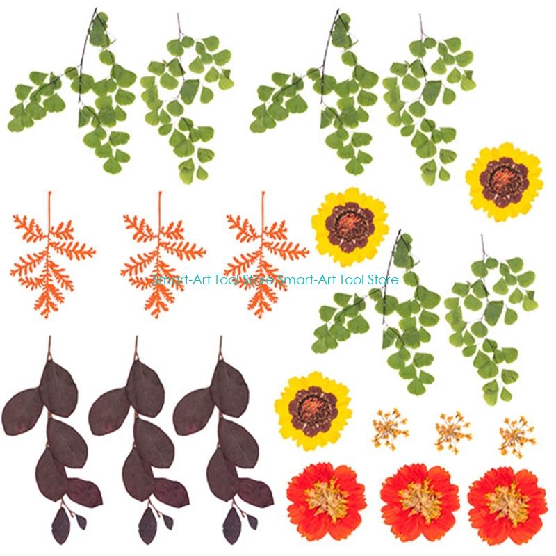 E1PB Natural Dry Flower Leaves - Art Craft Flower Making บทวิจารณ์และราคา
