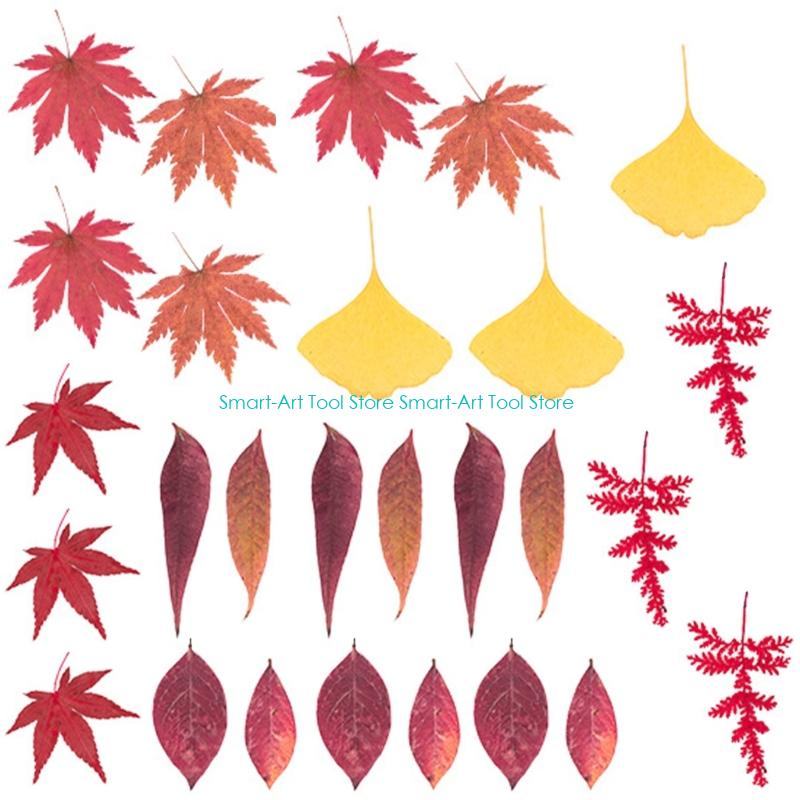 E1PB Natural Dry Flower Leaves - Art Craft Flower Making บทวิจารณ์และราคา